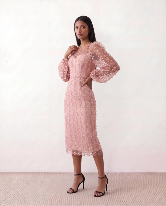 Women's Letitia fitted embroidered knee-length wedding guest dress featuring intricate all-over embroidery, delicate bead embellishments, sheer bodice panels, a round neckline, detachable waist belt, fitted sheath silhouette, scalloped hem, and concealed back zip fastening.