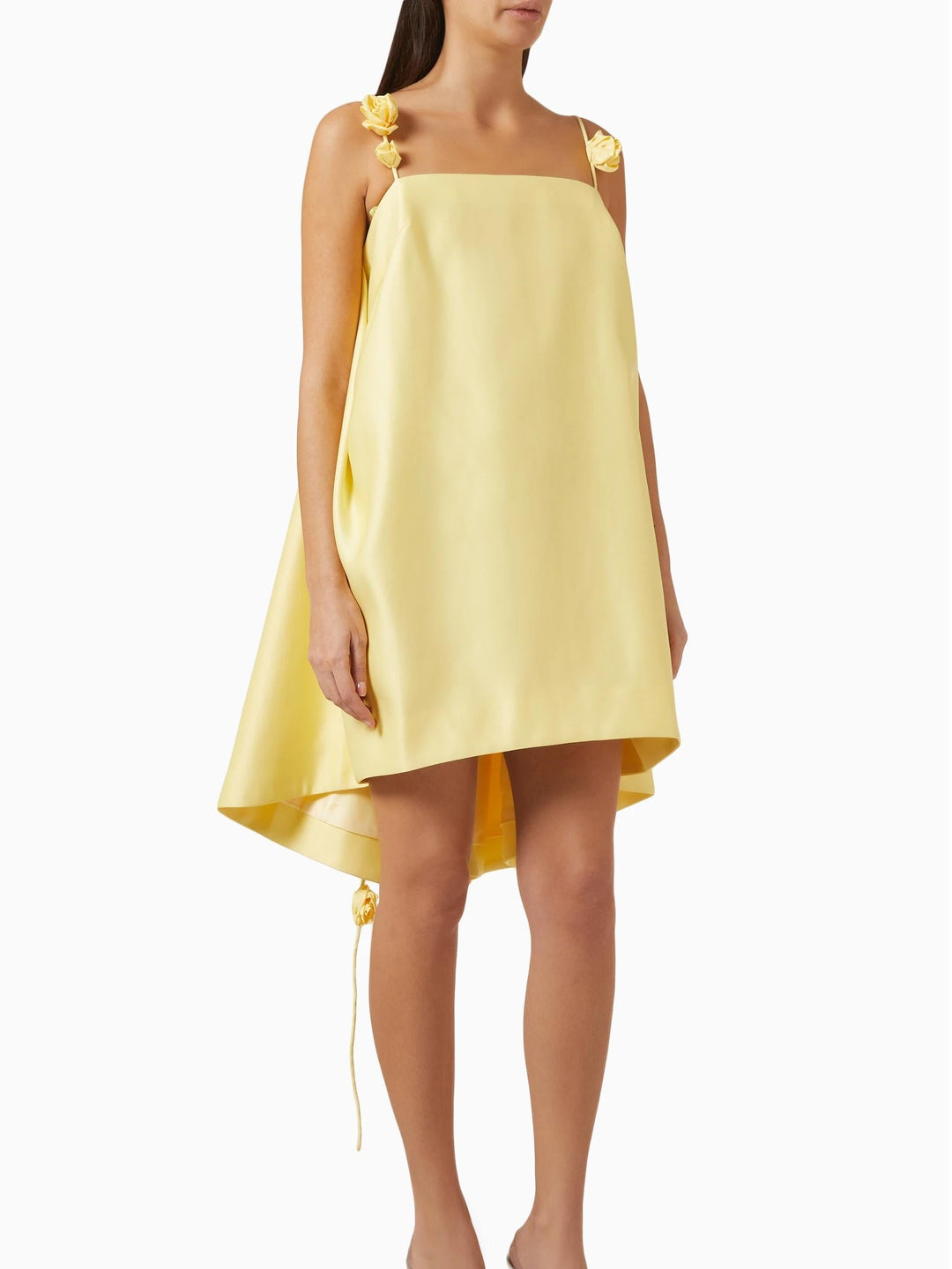 Fiona - Rose Mini Dress