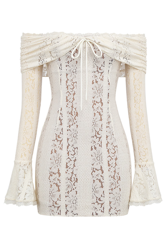 Anaya | Lace Mini Dress