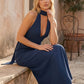Aleena cowl neck halter maxi dress with a deep draped neckline, fitted halter strap, open back with tie-neck closure, sleeveless column silhouette, and floor-length straight hem in a smooth, elegant finish.