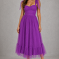 Women’s Mesh A-Line Maxi Gown with Flounce Hem for Formal & Evening Wear
